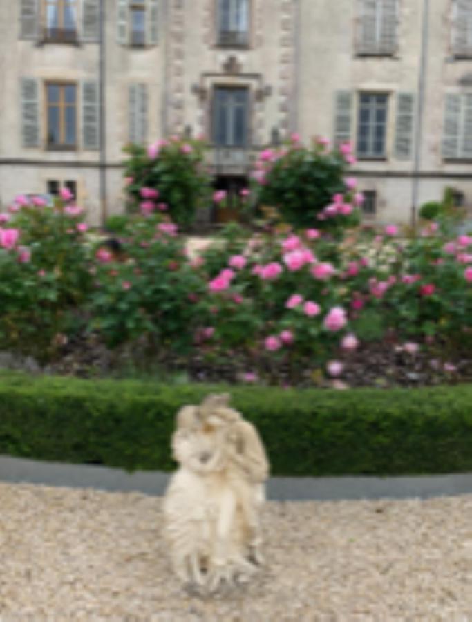 Champdeniers Chateau Pont Jarno B&B المظهر الخارجي الصورة