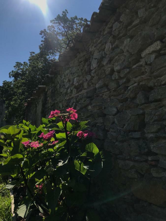Champdeniers Chateau Pont Jarno B&B المظهر الخارجي الصورة