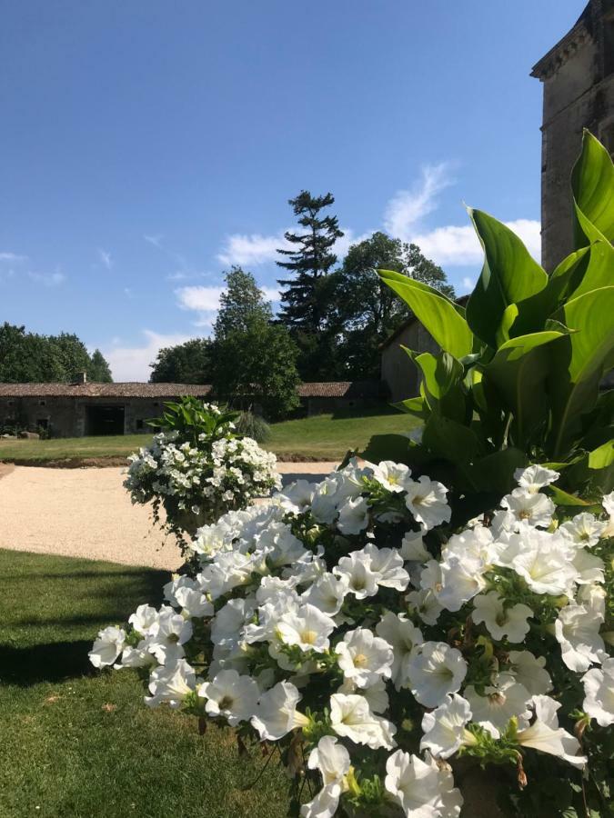 Champdeniers Chateau Pont Jarno B&B المظهر الخارجي الصورة